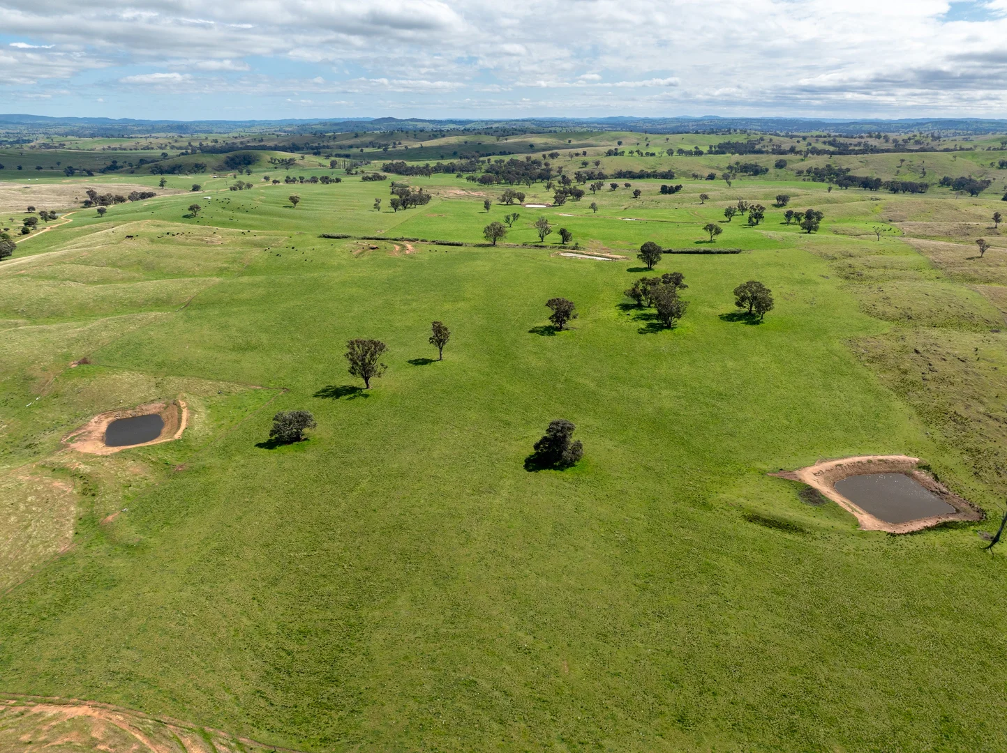Additional image 4 of 'Cronga Peak' 157 Cronga Peak Road, Molong NSW 2866