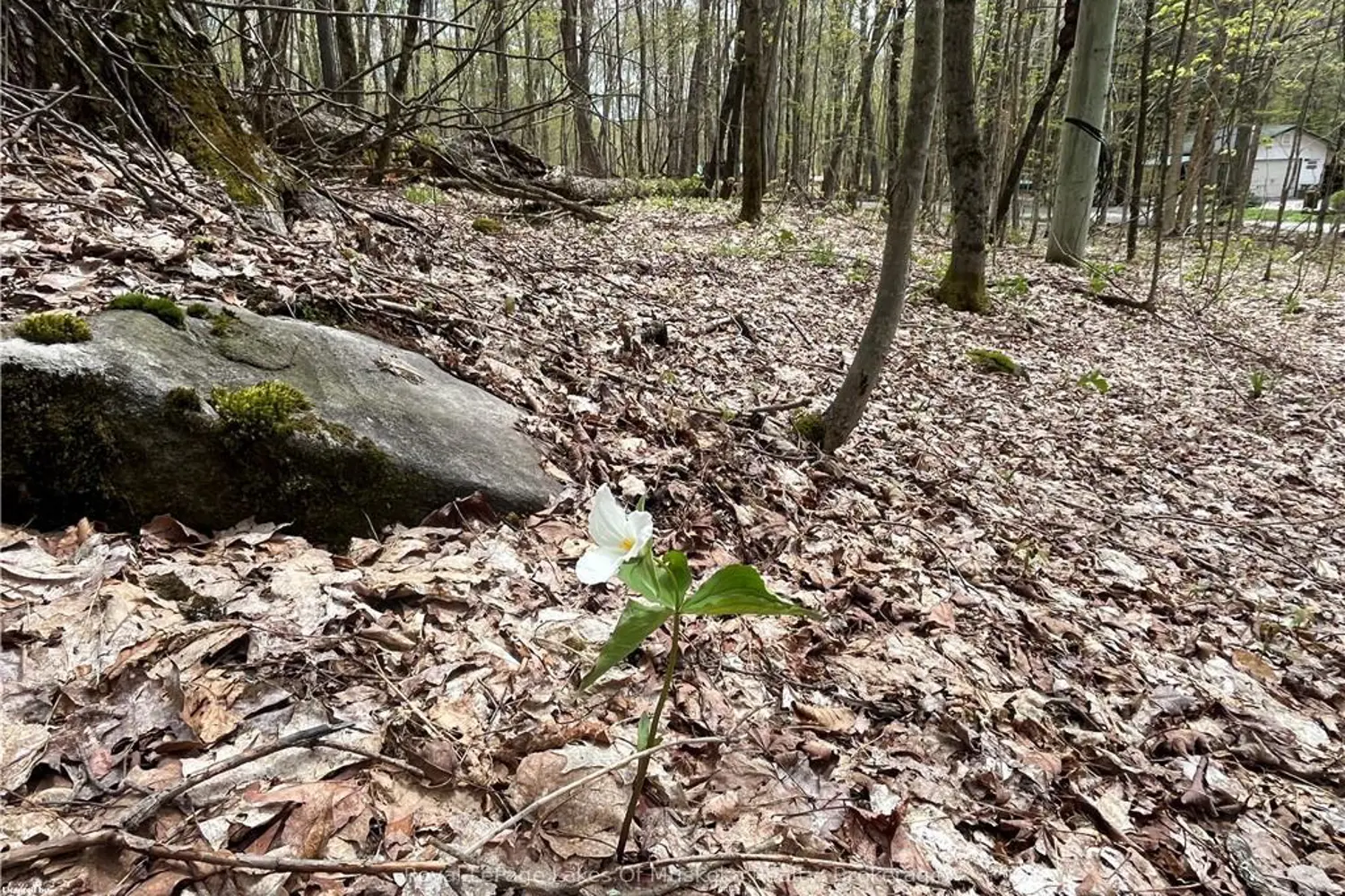 Additional image 4 of Lot 133 Brennan Circle