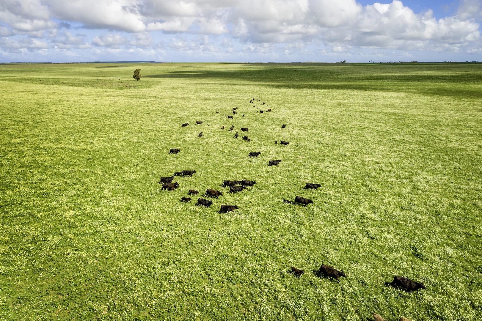 Additional image 30 of 829 Nabawa Northampton Road, Hickety WA 6532