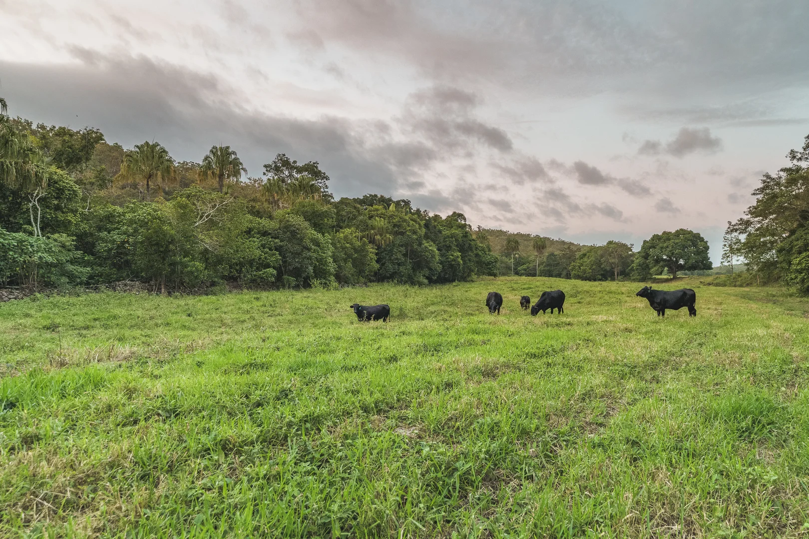 Additional image 2 of 24 Petersen Road, Koumala QLD 4738