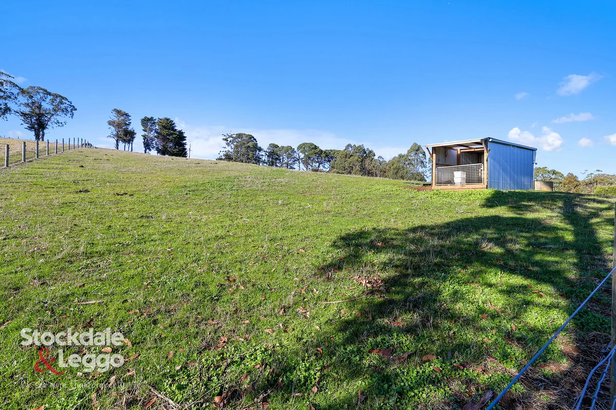 Additional image 19 of 710 Nicholls Road, Mirboo North VIC 3871