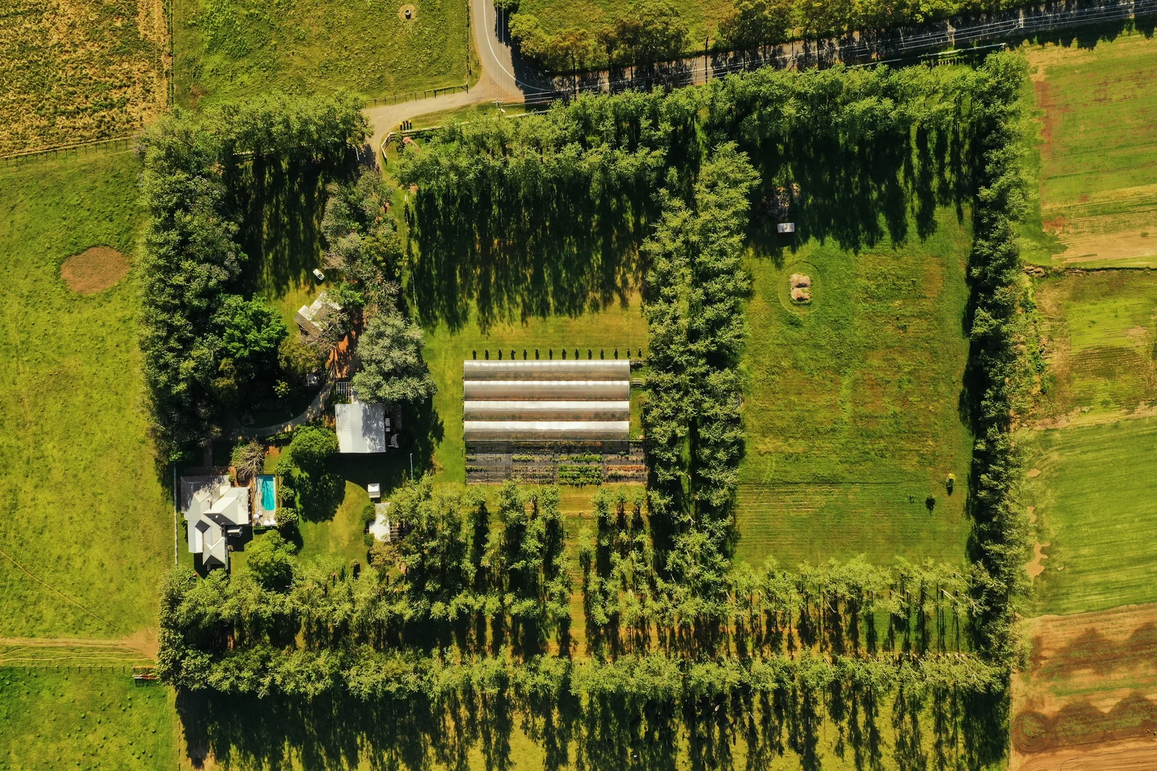 Additional image 24 of 229 Glenarvon Road, Lorn NSW 2320