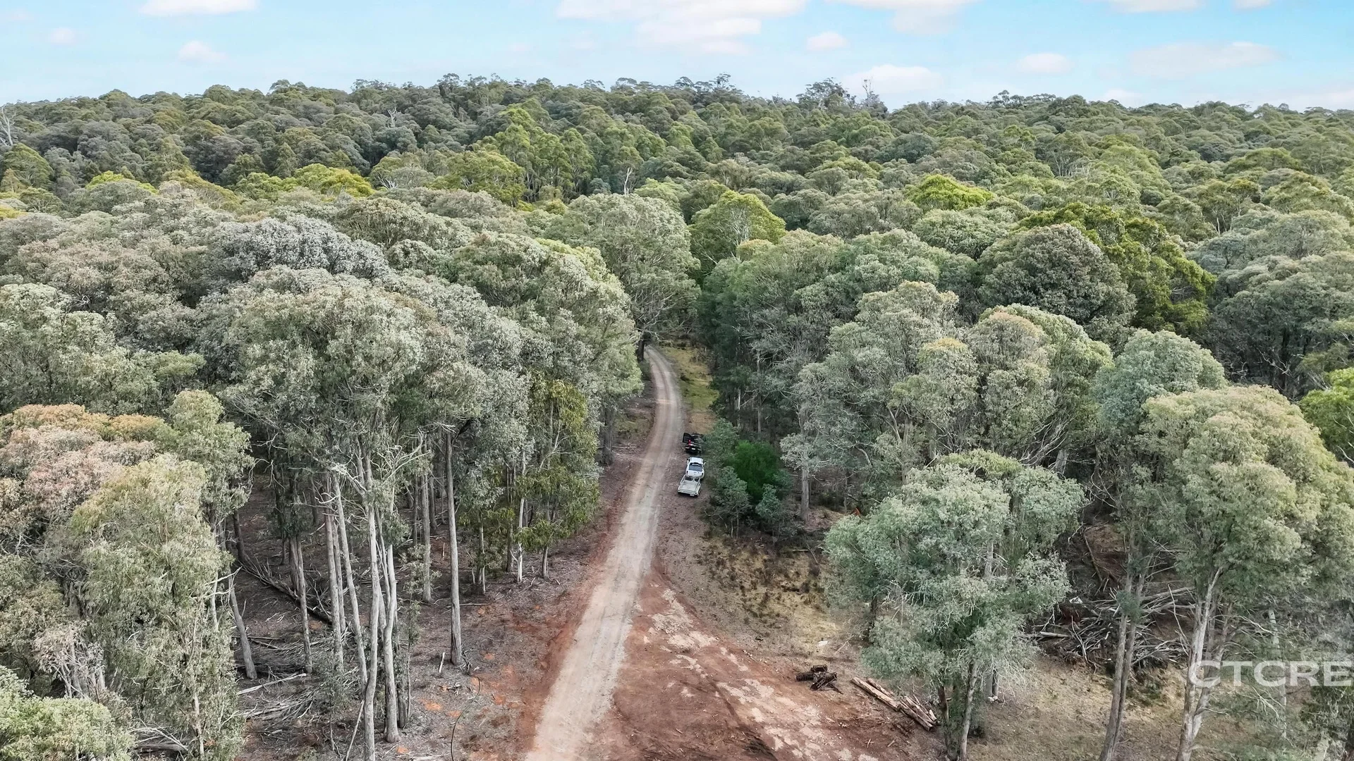 Additional image 10 of 1695 Bendoc-Orbost Road, Bendoc VIC 3888