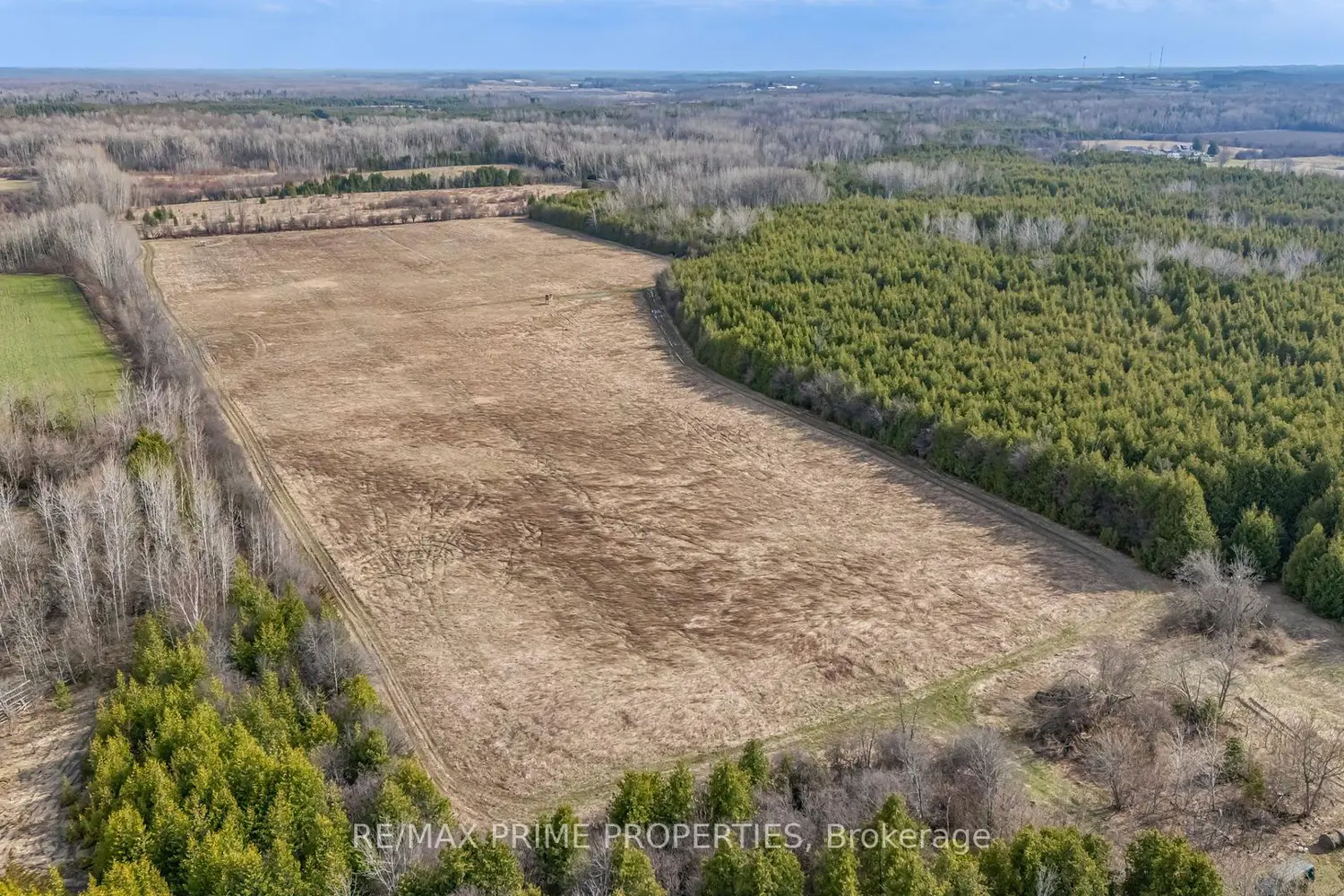 Additional image 9 of 28171 Highway 48