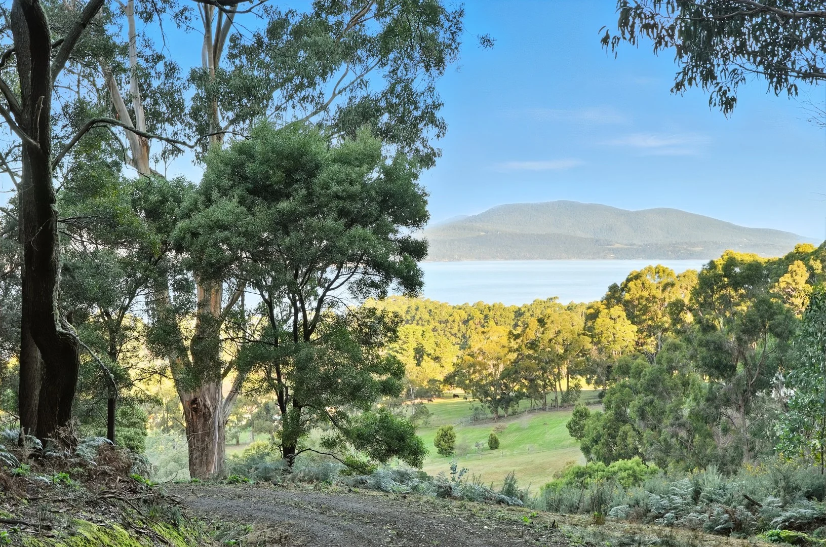 50 McDowall Street, Middleton TAS 7163