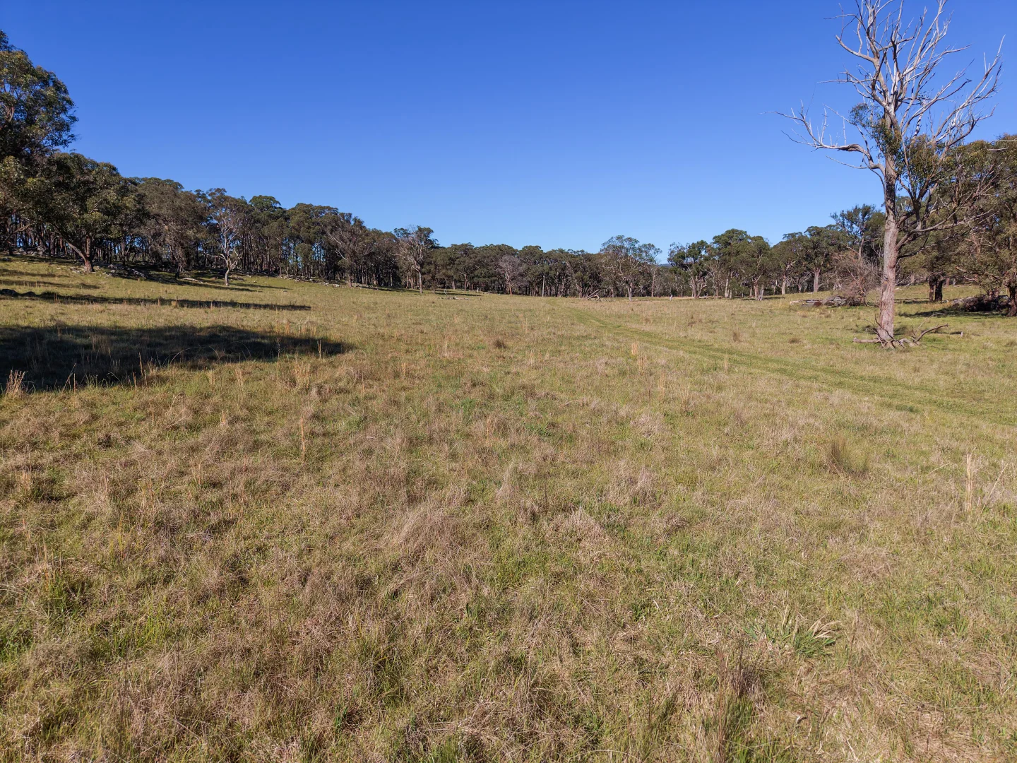 Additional image 29 of 2153 Mount Lindesay Road, Tenterfield NSW 2372