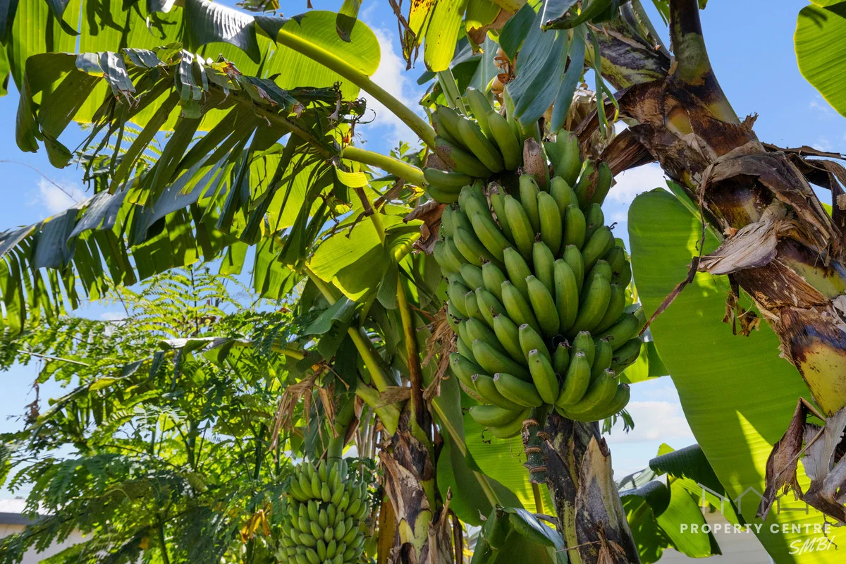 Additional image 21 of 15 Banksia Street, Russell Island QLD 4184