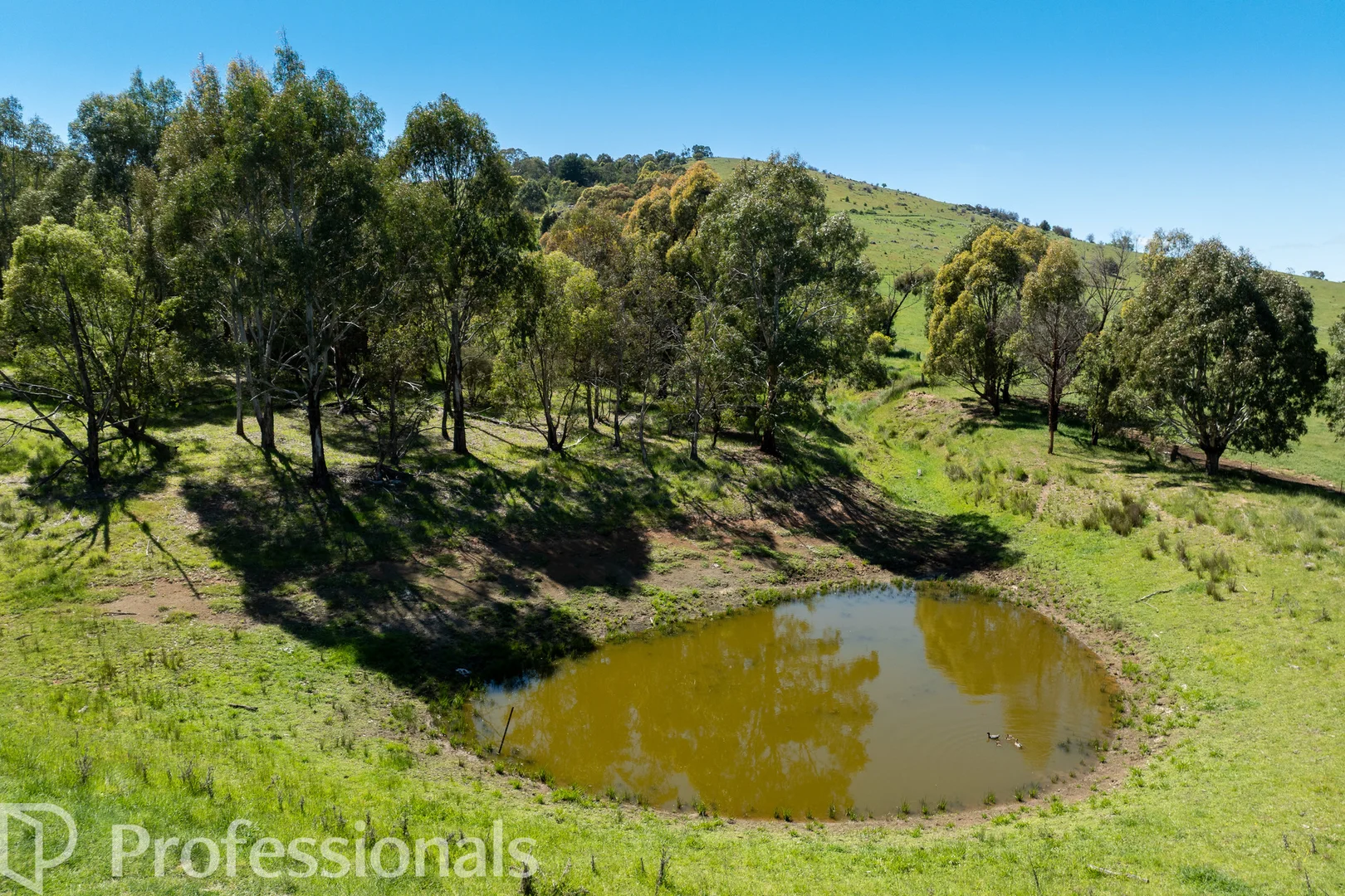 Additional image 43 of 94 Emu Swamp Road, Orange NSW 2800