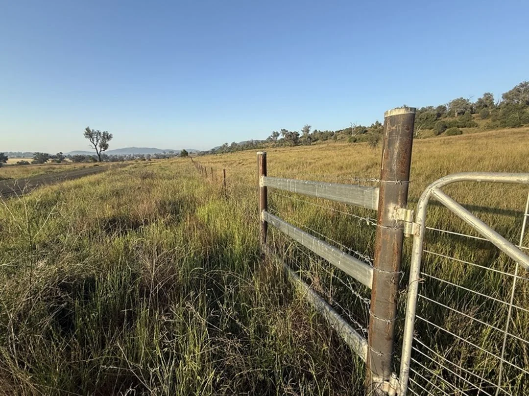 Additional image 29 of Garrambeel, Bingara NSW 2404