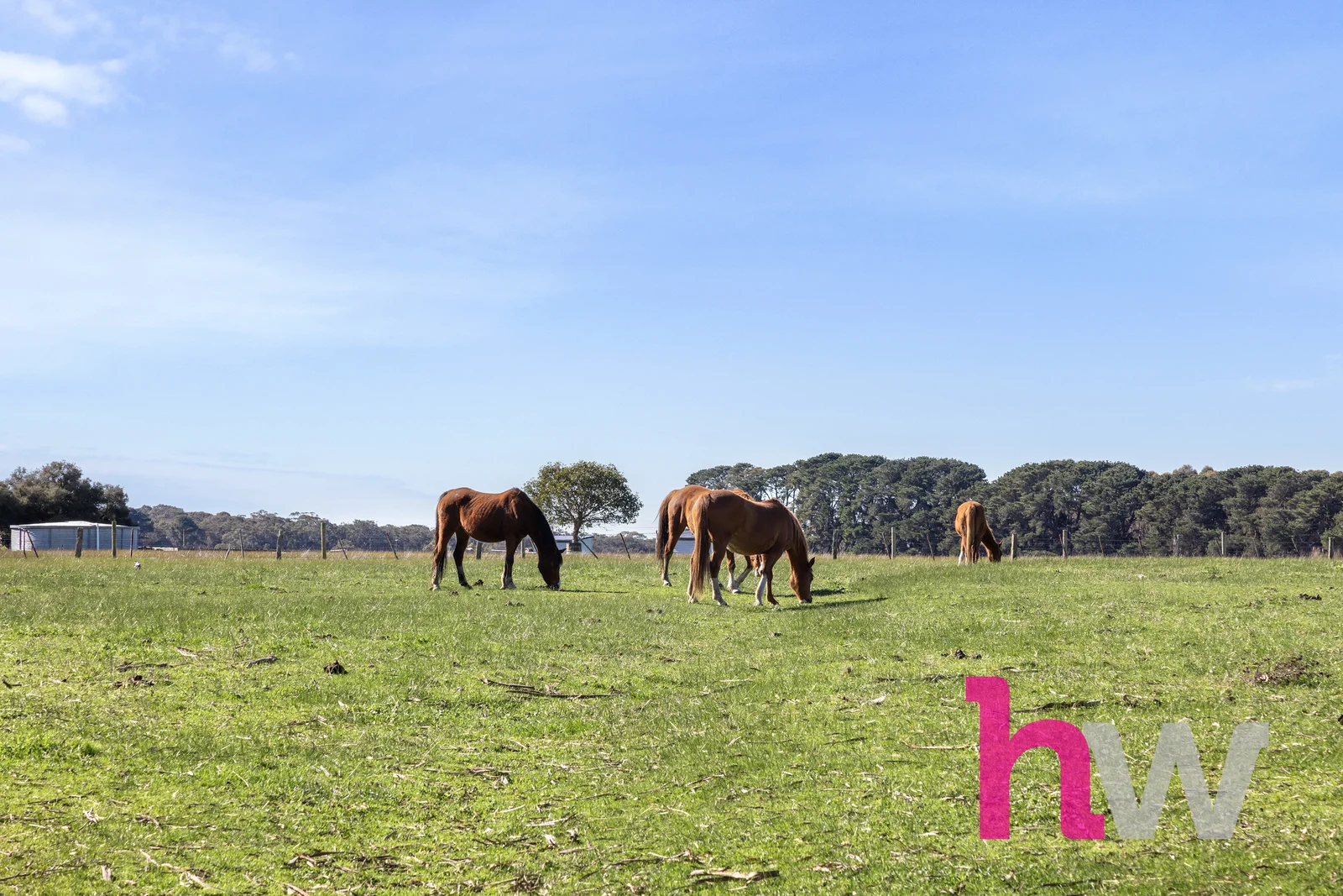 Additional image 15 of 20 Morgans Road, Winchelsea South VIC 3241