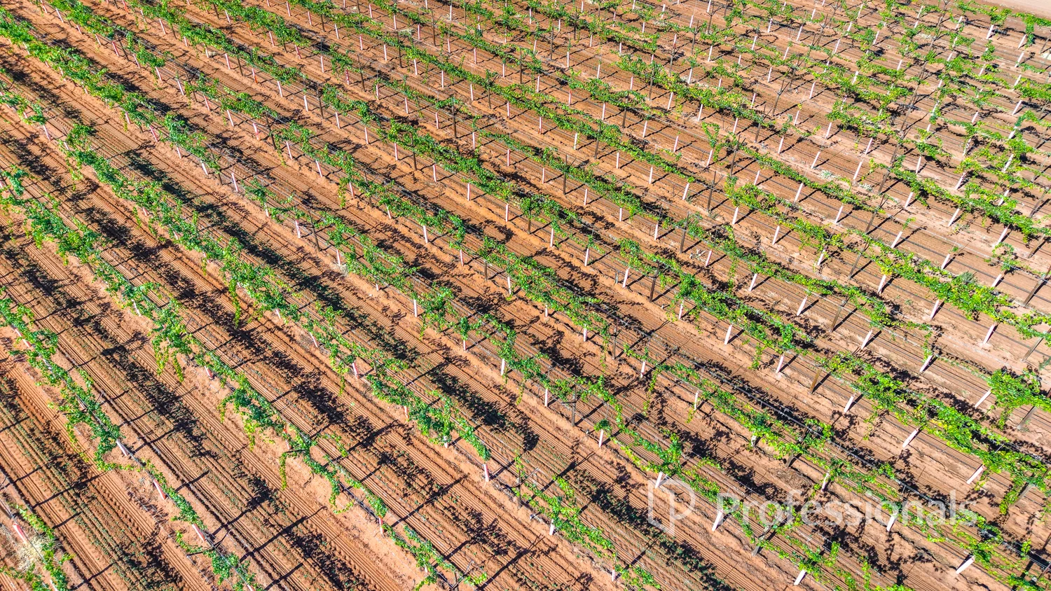 Additional image 15 of 225 Stewart Road, Red Cliffs VIC 3496