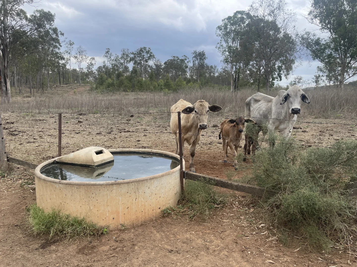 Additional image 13 of Eidsvold QLD 4627