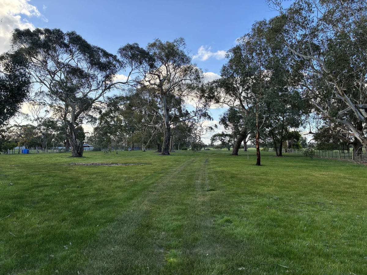 Additional image 6 of 8024 Hamilton Highway, Tarrington VIC 3301