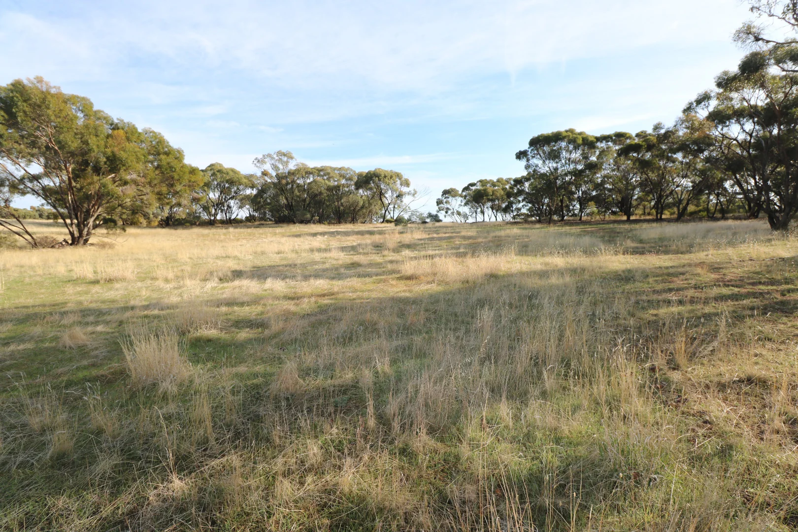 Additional image 16 of 84A Woolshed Flat Road, Wychitella VIC 3525