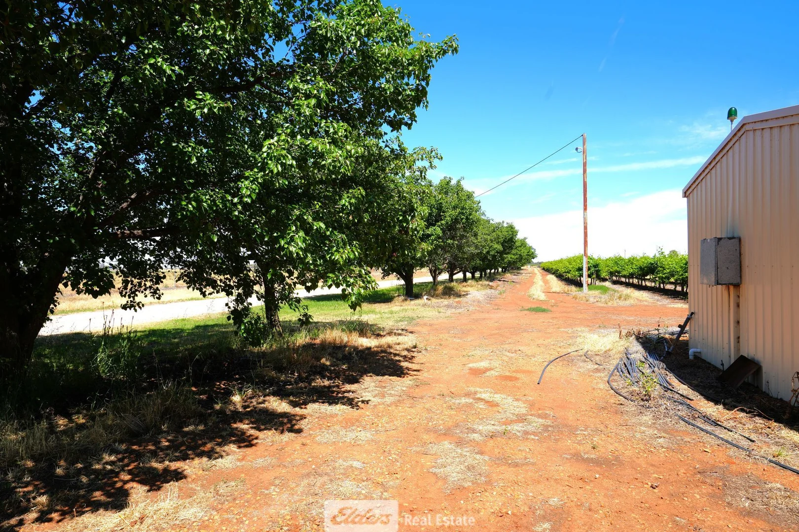 Additional image 5 of 1489 McDonough Road, Yenda NSW 2681