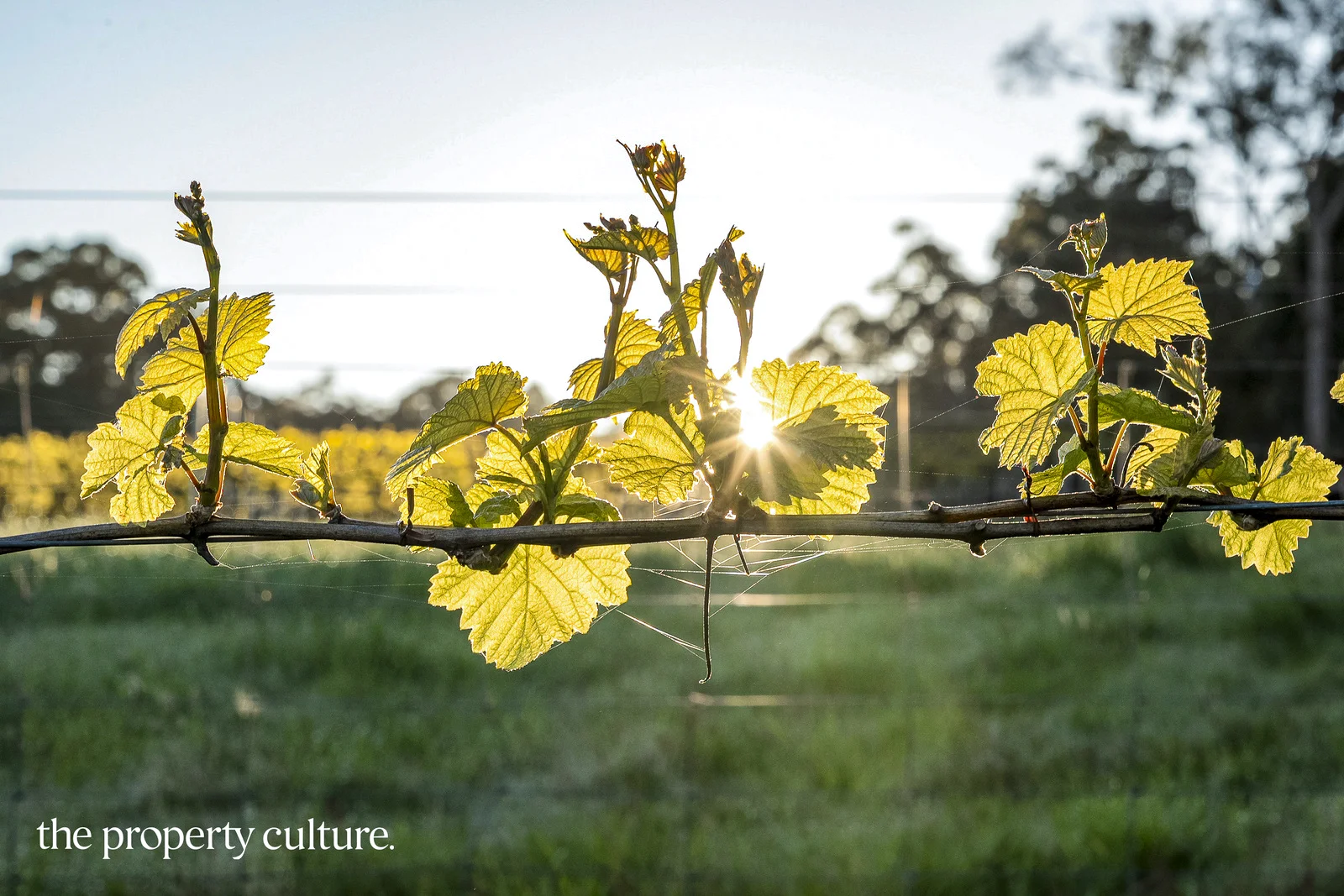 Additional image 12 of 42 Voss Rd, Glaziers Bay TAS 7109