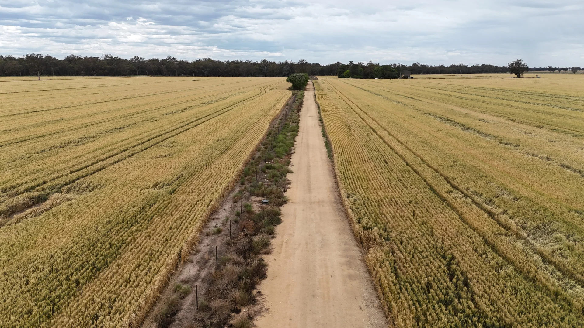 Additional image 11 of 69 Ercildoune Lane South, Forbes NSW 2871