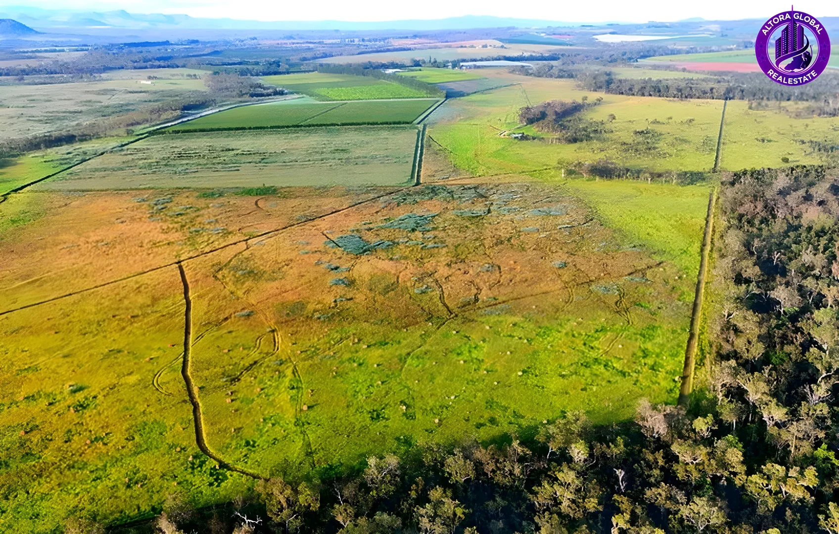 Additional image 3 of 326 Springs Road, Paddys Green QLD 4880