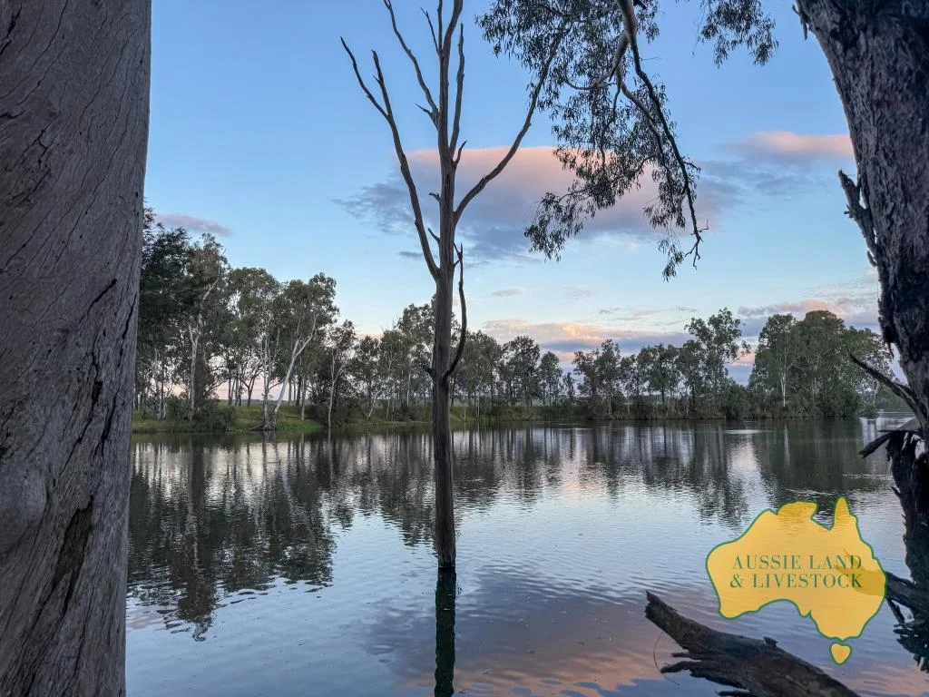 Additional image 68 of 8 SCREENING PLANT ROAD, Cynthia QLD 4627