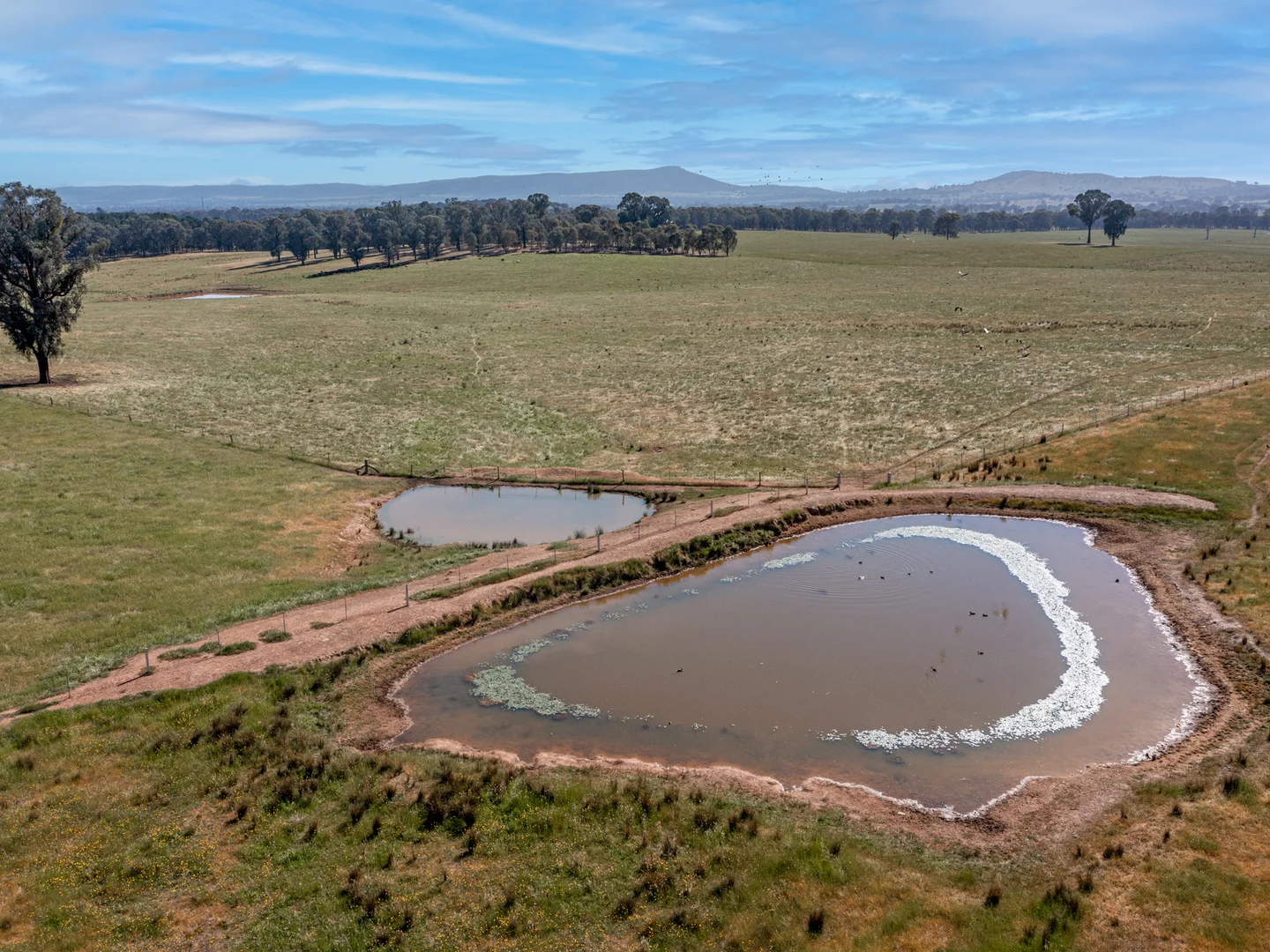 Additional image 8 of Eleven Mile Creek Road, Glenrowan West VIC 3675