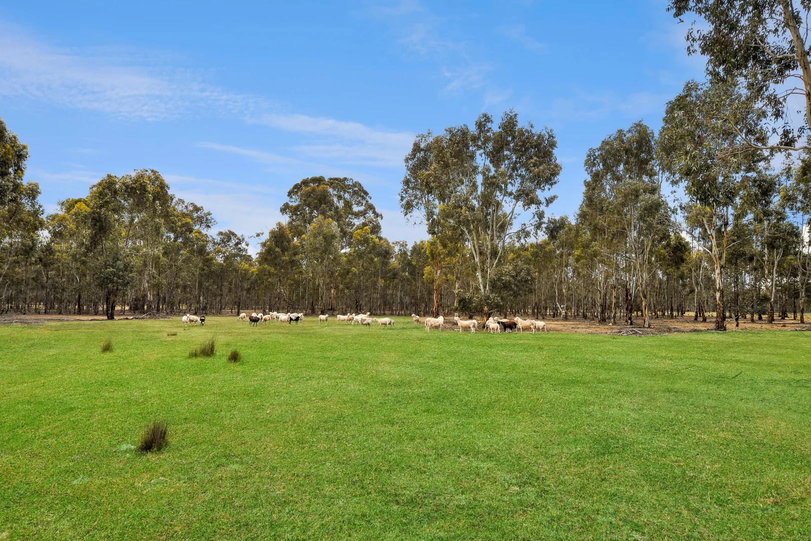 Additional image 30 of 97 Sandbar Rd, Deep Lead Via, Stawell VIC 3380