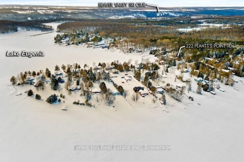 Additional image 8 of 222 Plantt's Point Road, Grey Highlands, ON, N0C 1E0