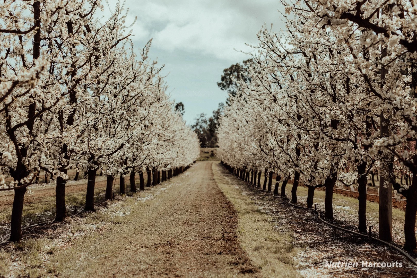 Additional image 5 of 176 Chevin Road, Roleystone WA 6111