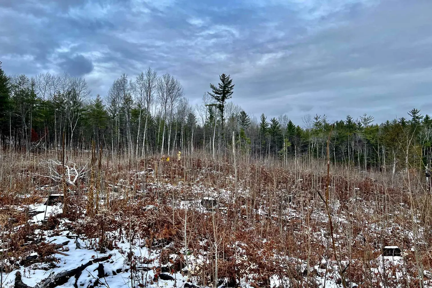 Additional image 8 of 744 Black Creek Road
