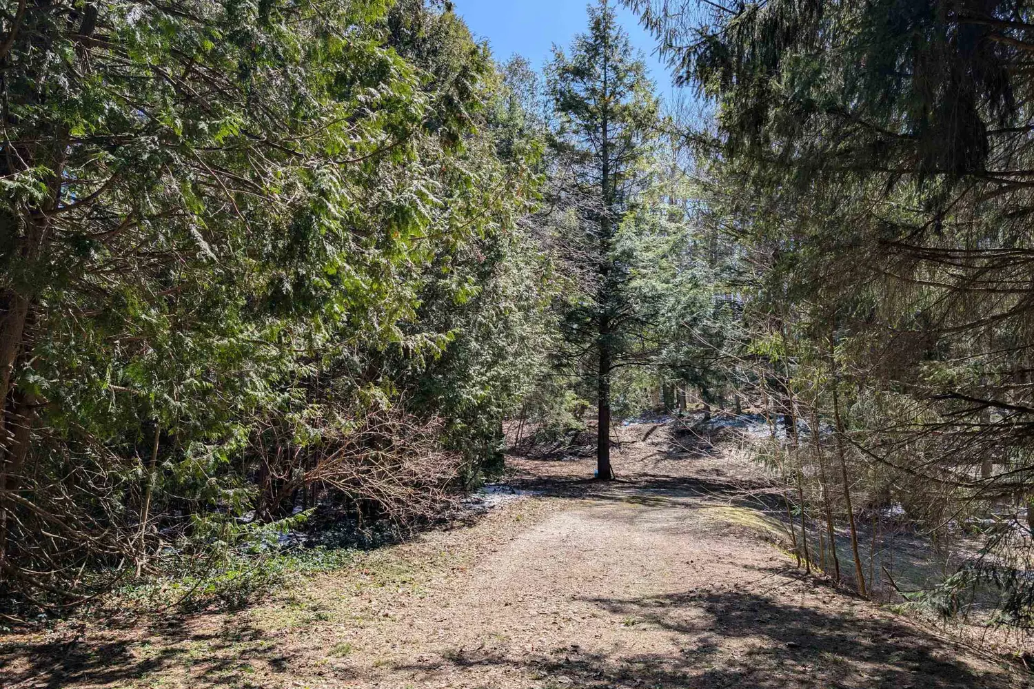 Additional image 17 of 120 Anderson Drive