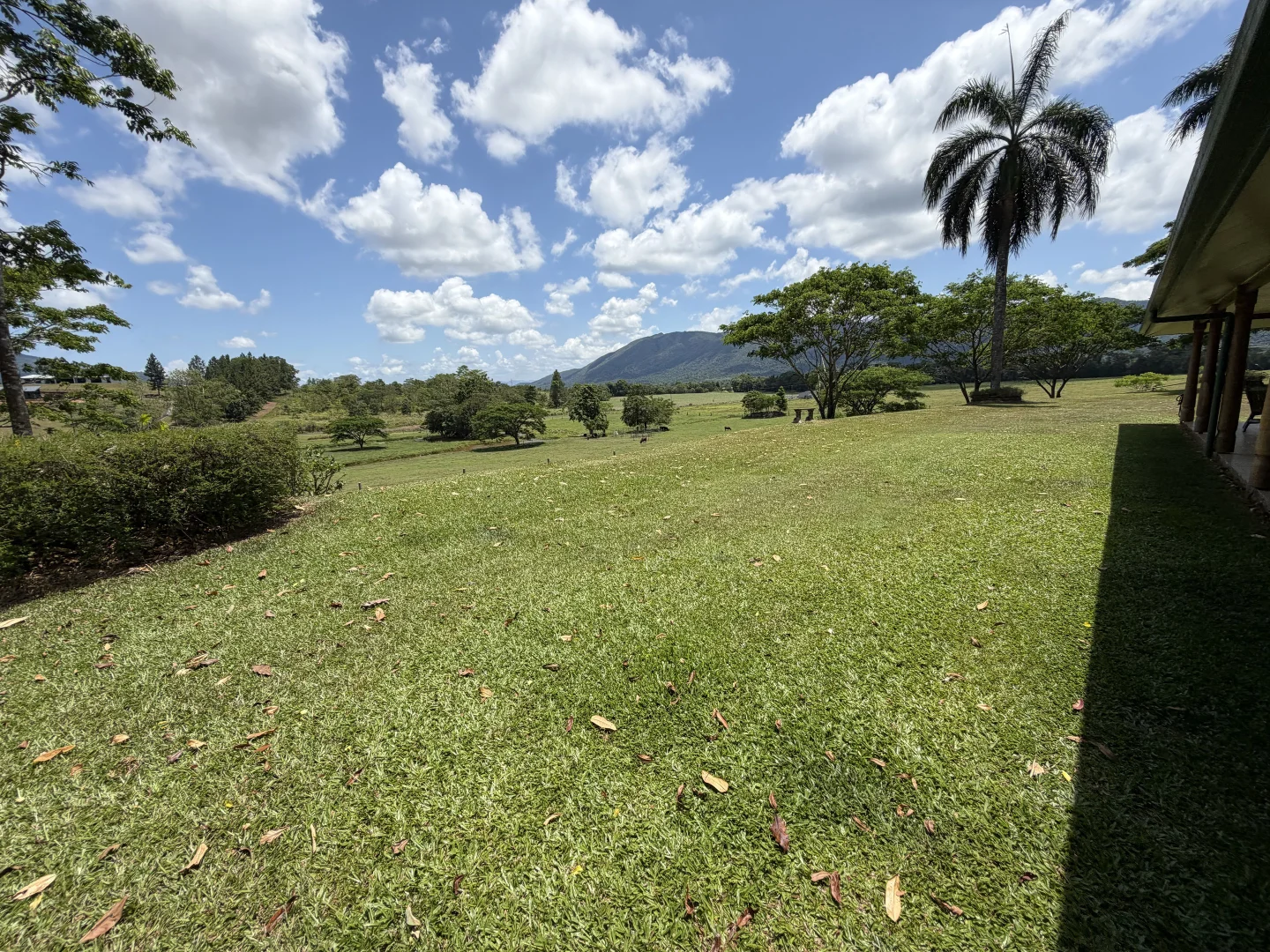 Additional image 27 of 541 Bulgun Rd, Feluga QLD 4854