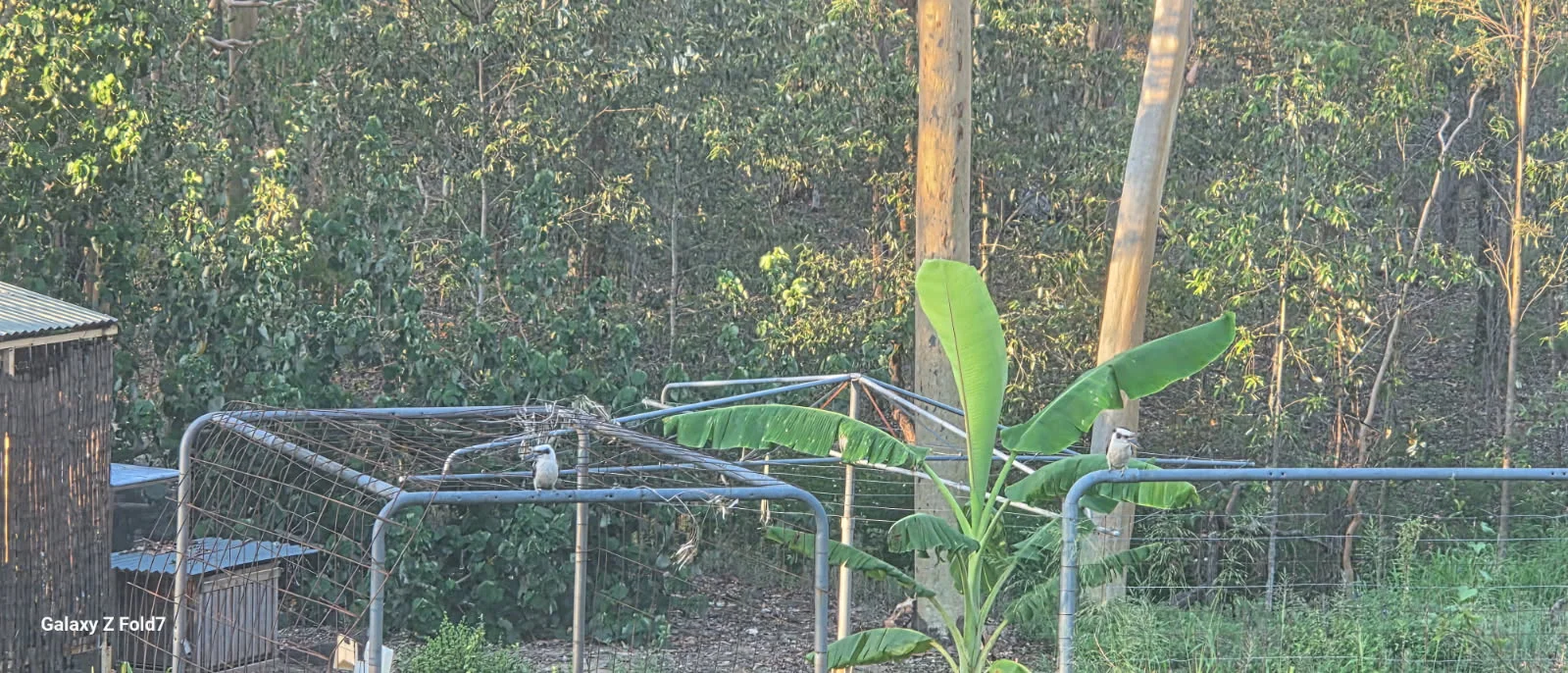 Additional image 20 of 102 Milora Road, Upper Lockyer QLD 4352