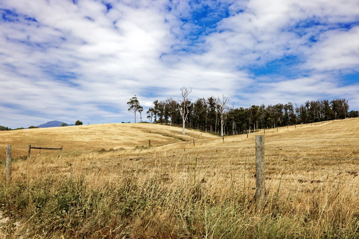 Additional image 9 of 110a Paling Track, Bangor TAS 7267