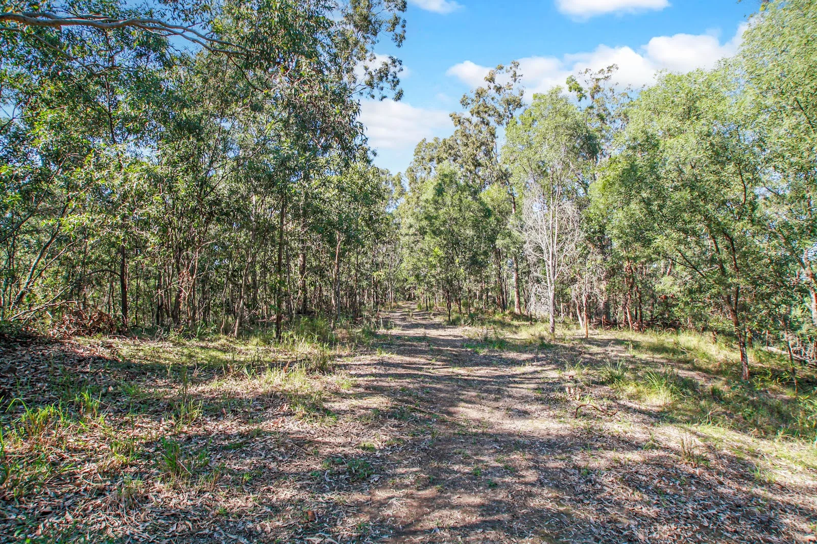 Additional image 20 of 94 Holyrood Road, Maudsland QLD 4210
