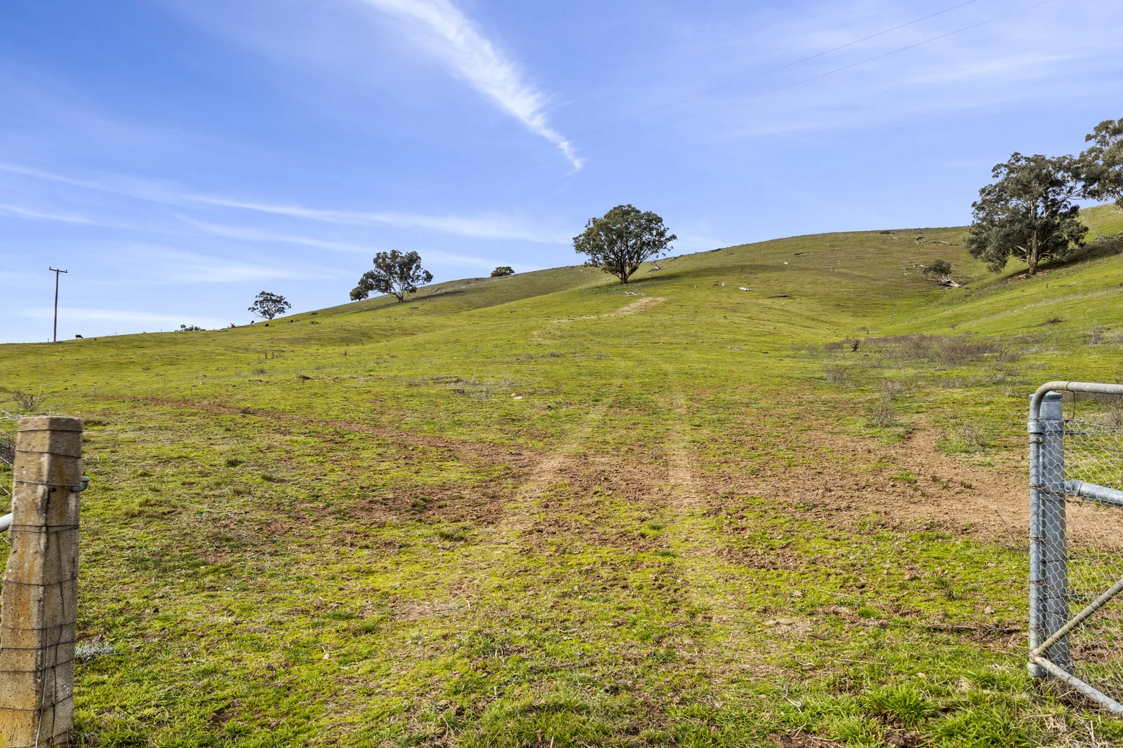 Additional image 24 of 245 Caves Road, Wee Jasper NSW 2582