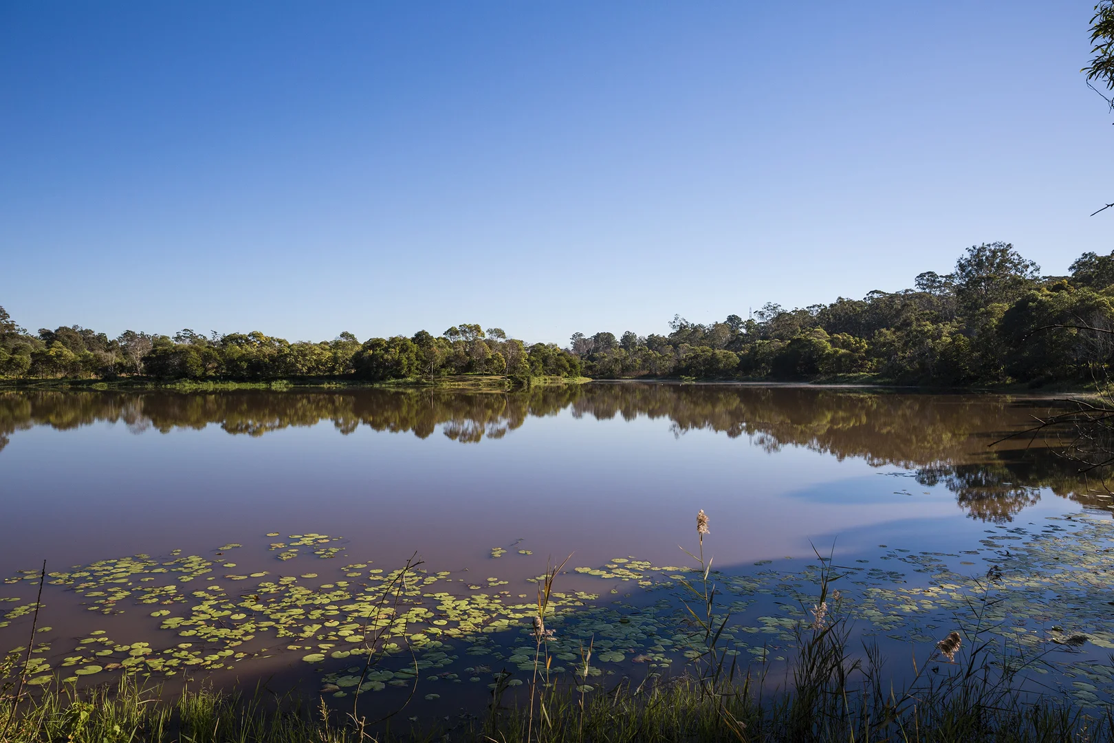 Additional image 5 of Lot 183 Paradise Lakes, Willawong QLD 4110
