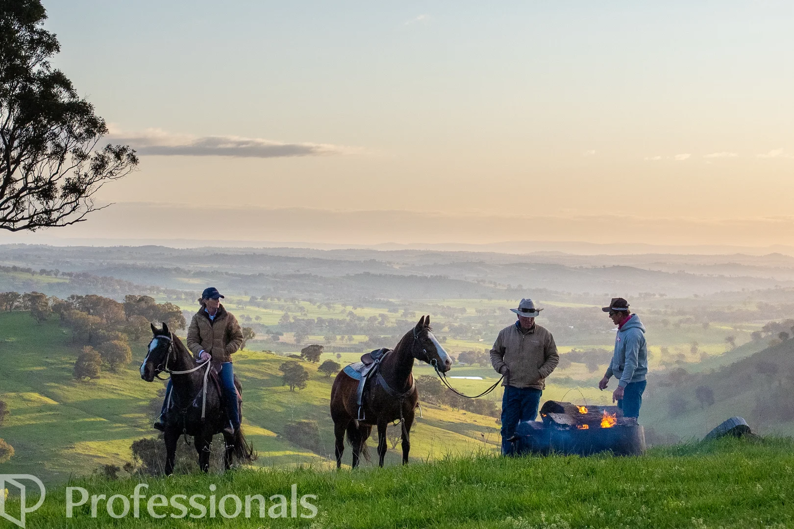 Additional image 32 of 361 Dicksons Lane, Orange NSW 2800