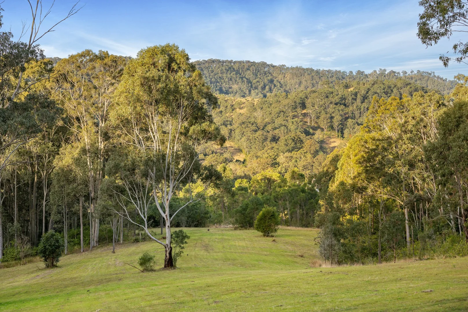Additional image 4 of 98 Parishs Road, Dungog NSW 2420