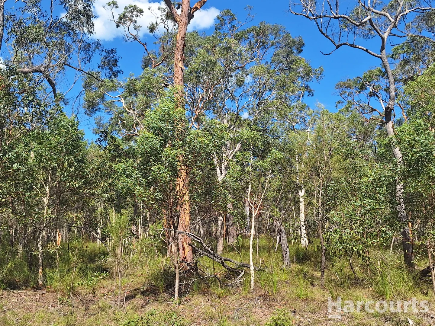 Additional image 5 of 8 Ranch Park Drive, Pacific Haven QLD 4659