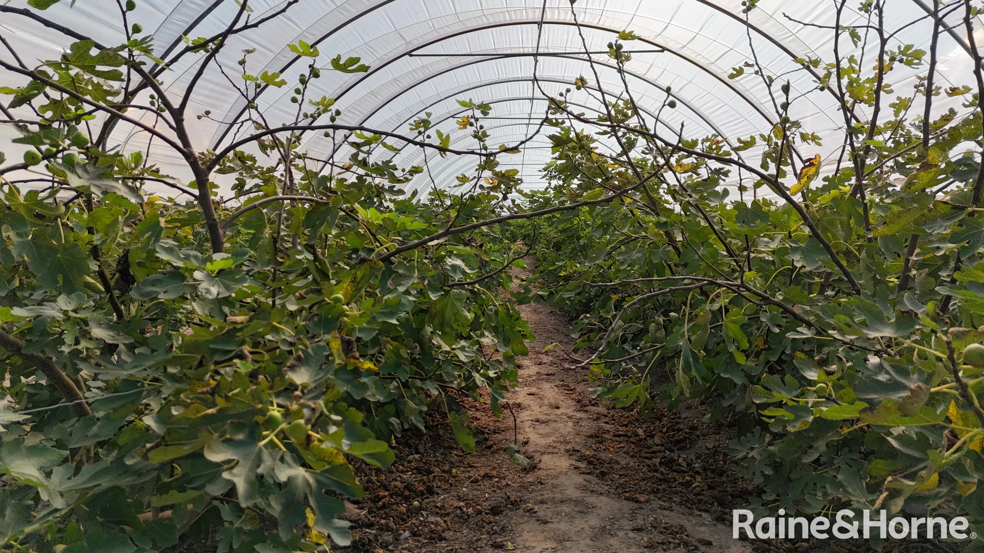 Additional image 23 of 135 Newlands Road, North Gregory QLD 4660