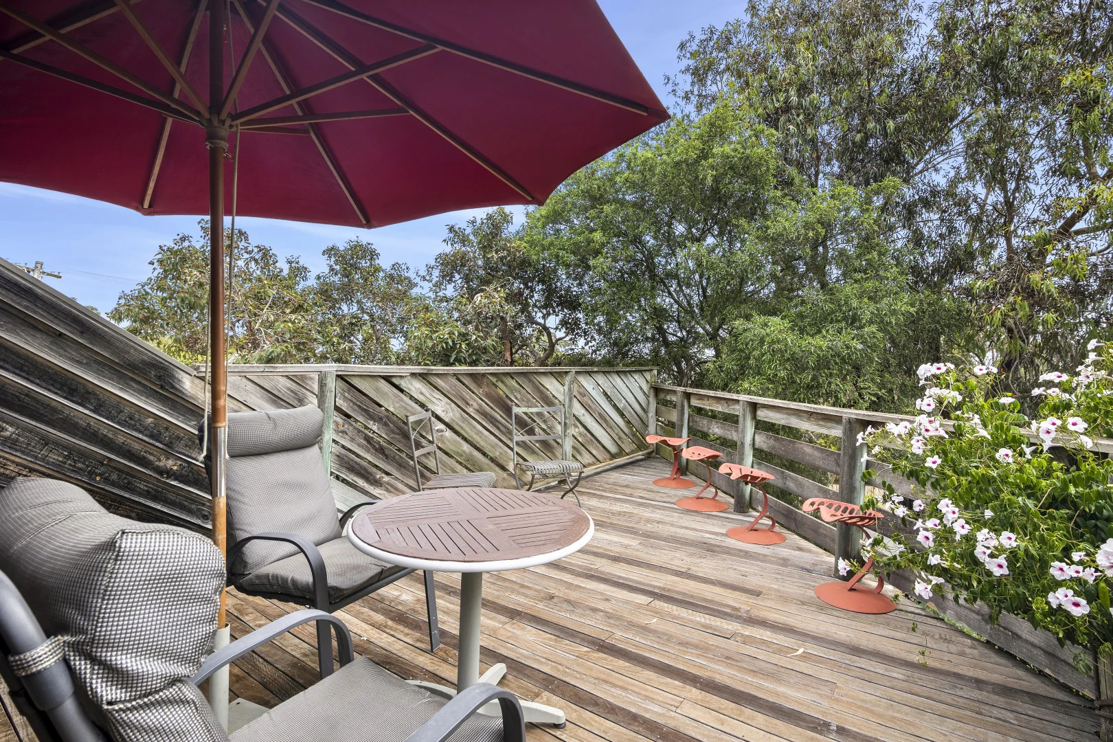 Additional image 14 of 31 Jackson Street, Anglesea VIC 3230