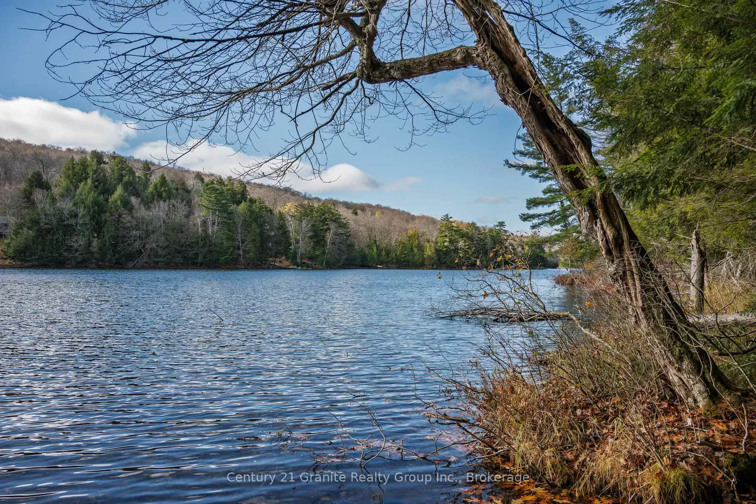 Additional image 3 of 0 Tedious Lake Wao