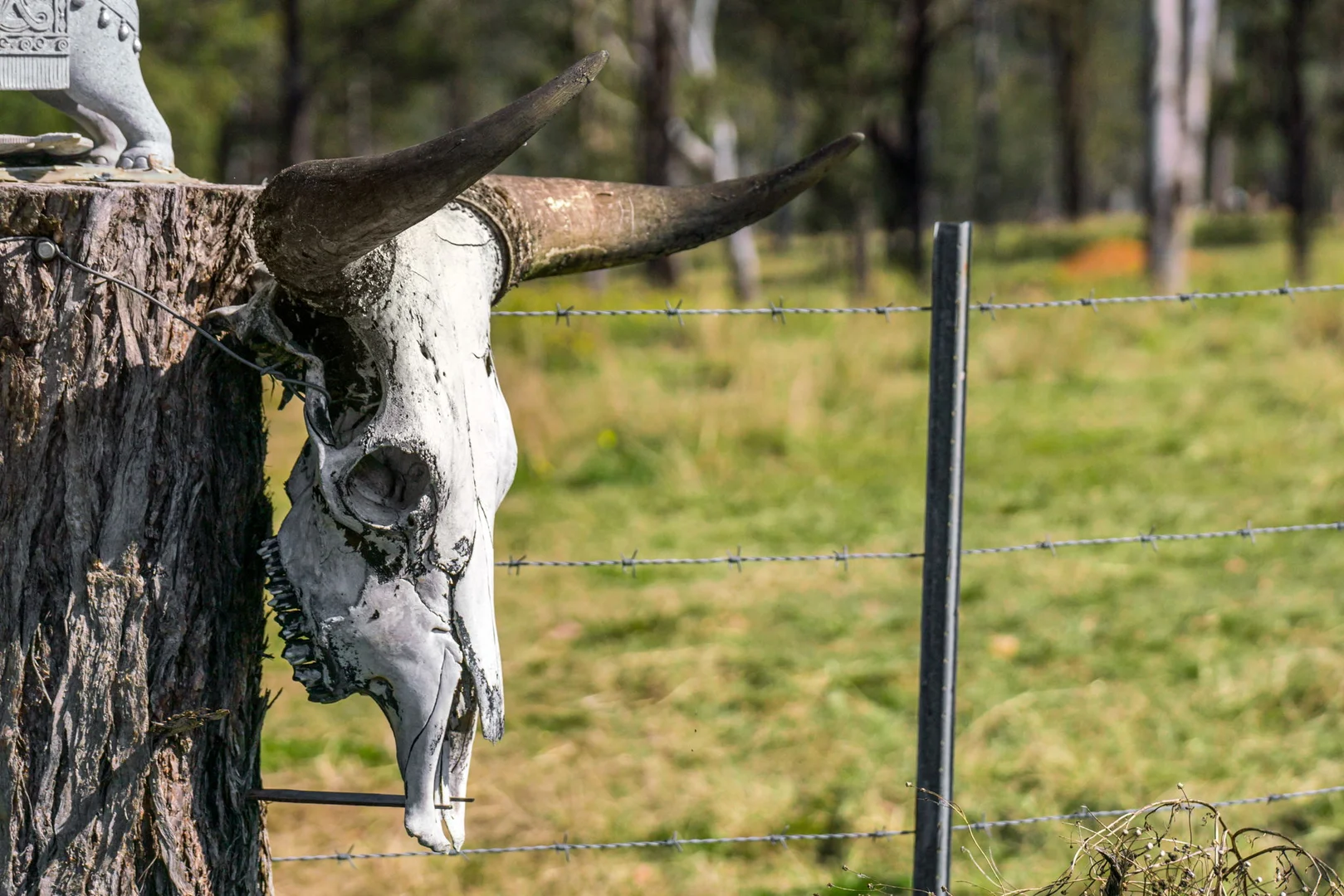 Additional image 18 of 119 Paddys Flat Road, Tabulam NSW 2469