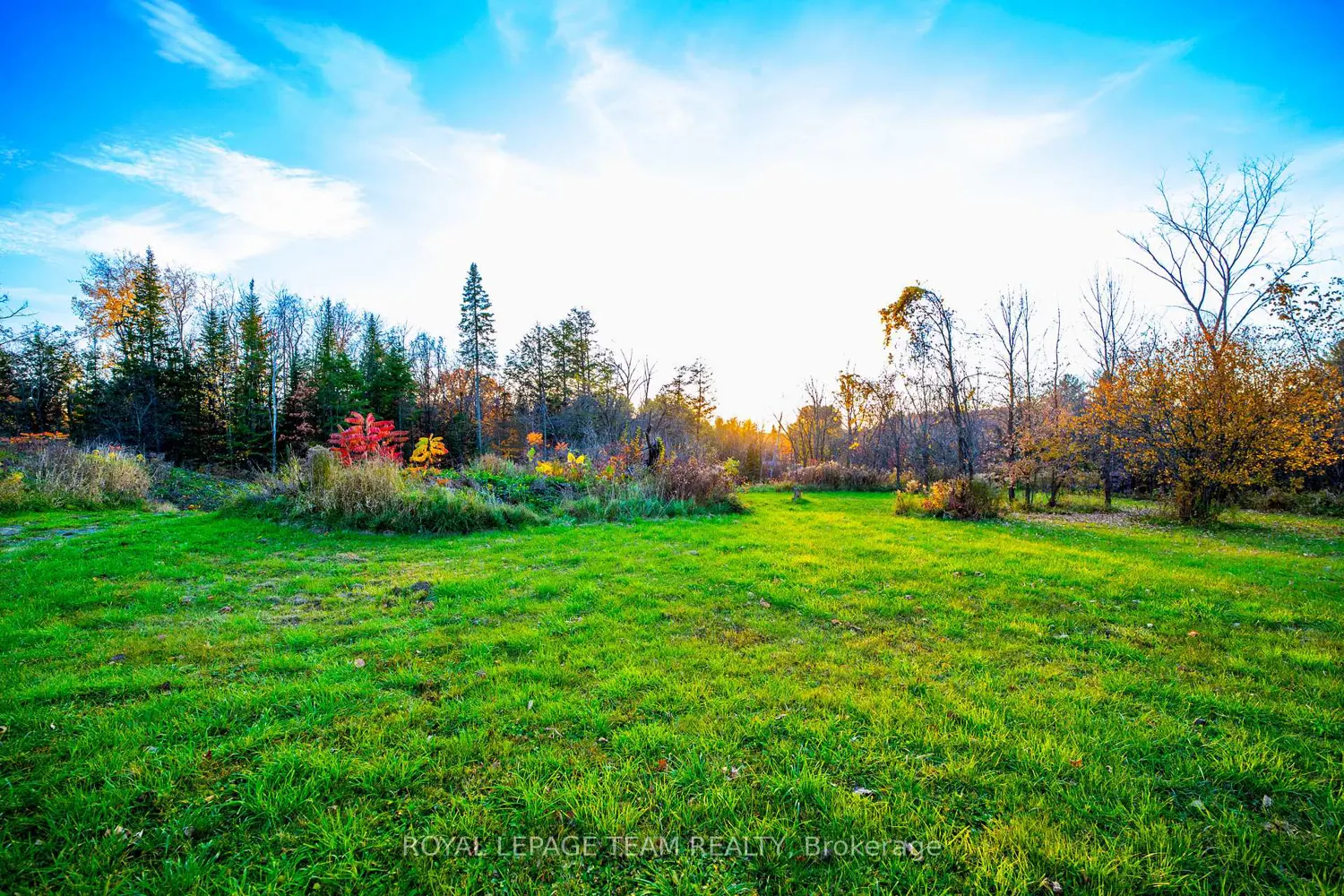1201 Dunning Road photo 5