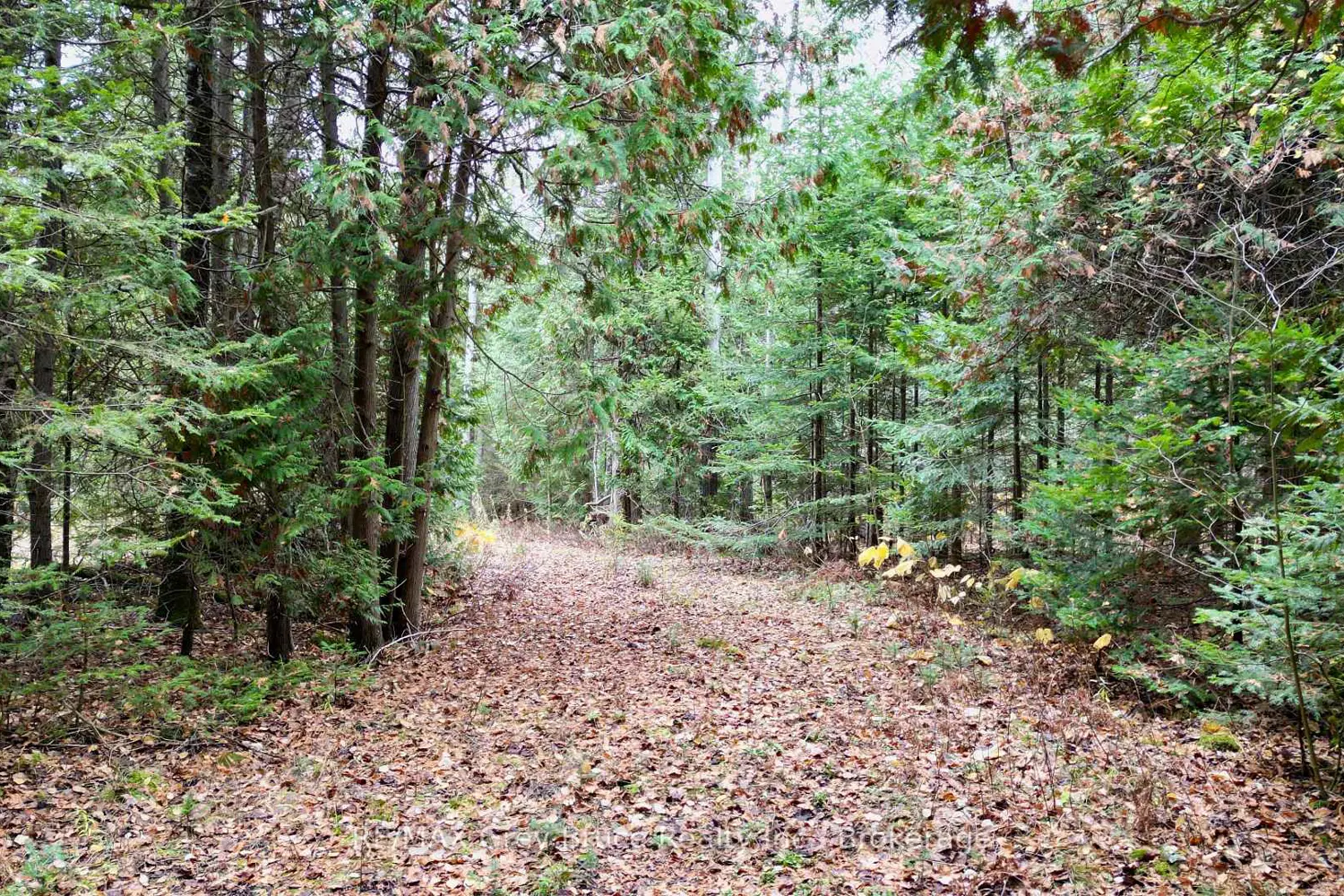 Additional image 2 of 44 Stokes Bay Road