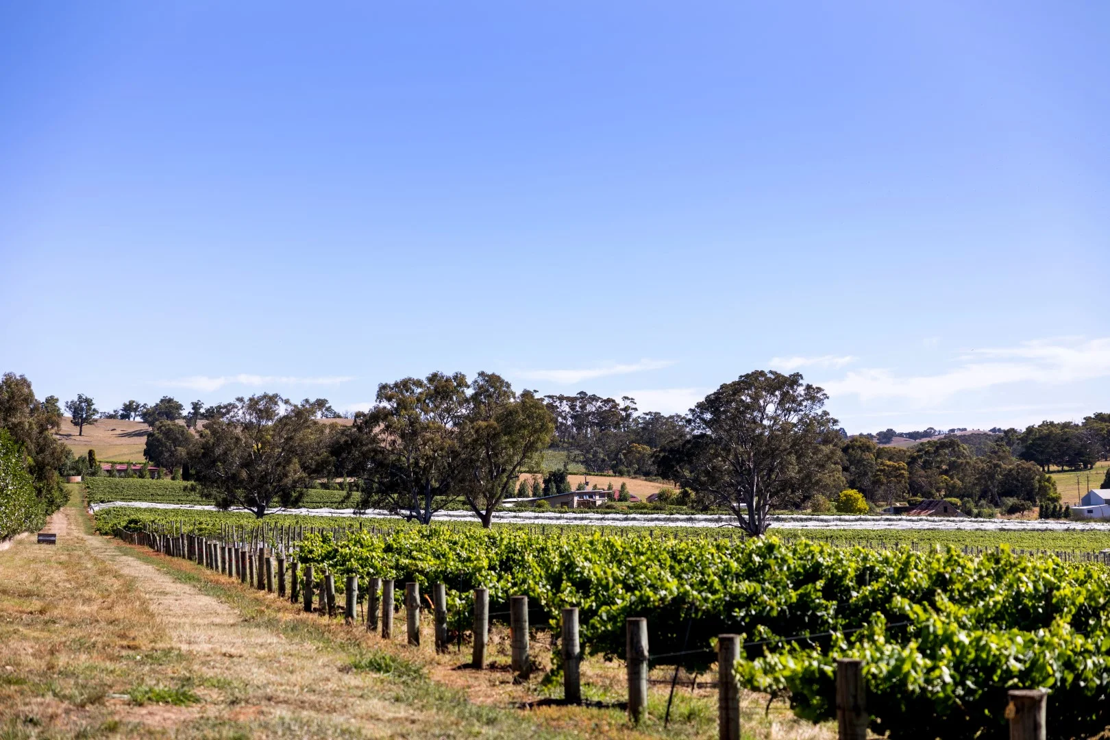 Additional image 28 of 162 Jungfer Road, Charleston SA 5244