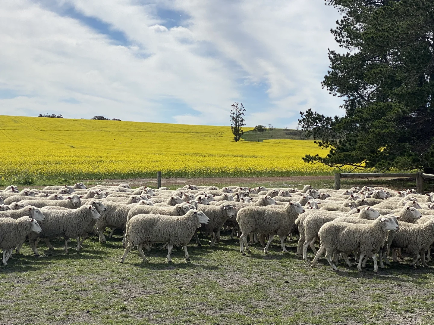 Additional image 16 of 39705 South Coast Highway, Green Range WA 6328