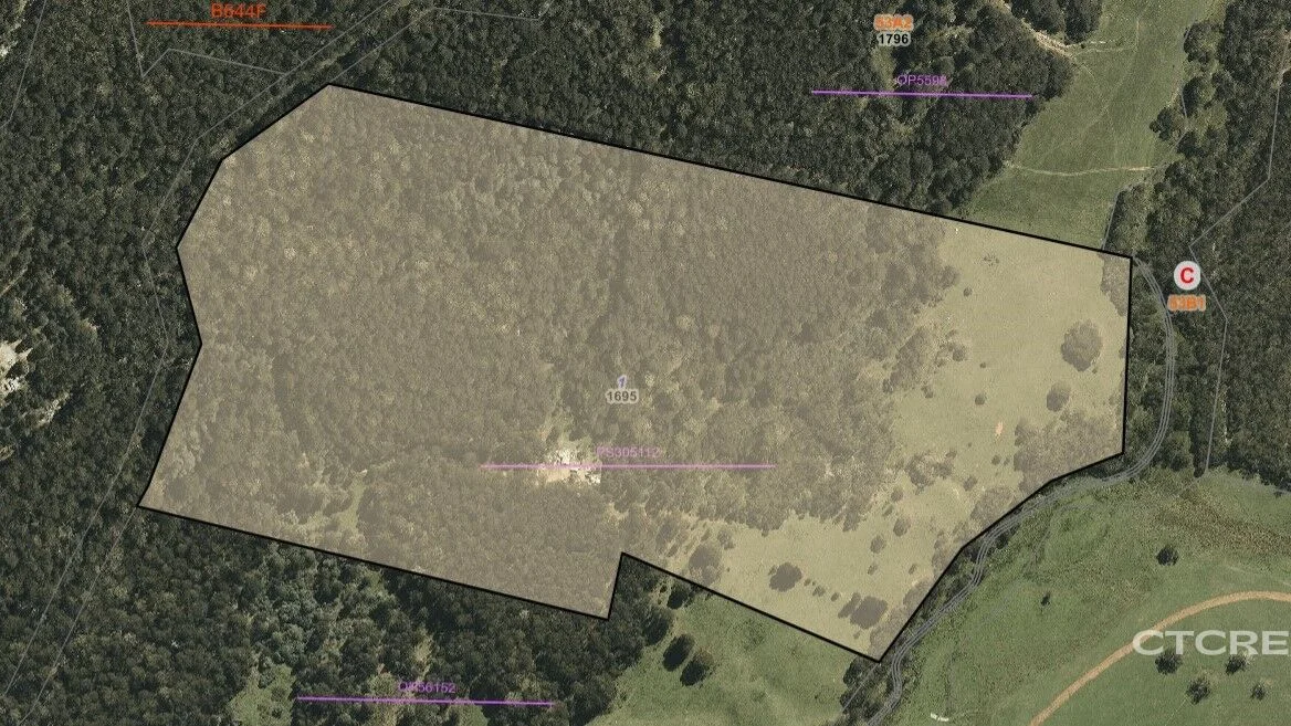 Additional image 20 of 1695 Bendoc-Orbost Road, Bendoc VIC 3888