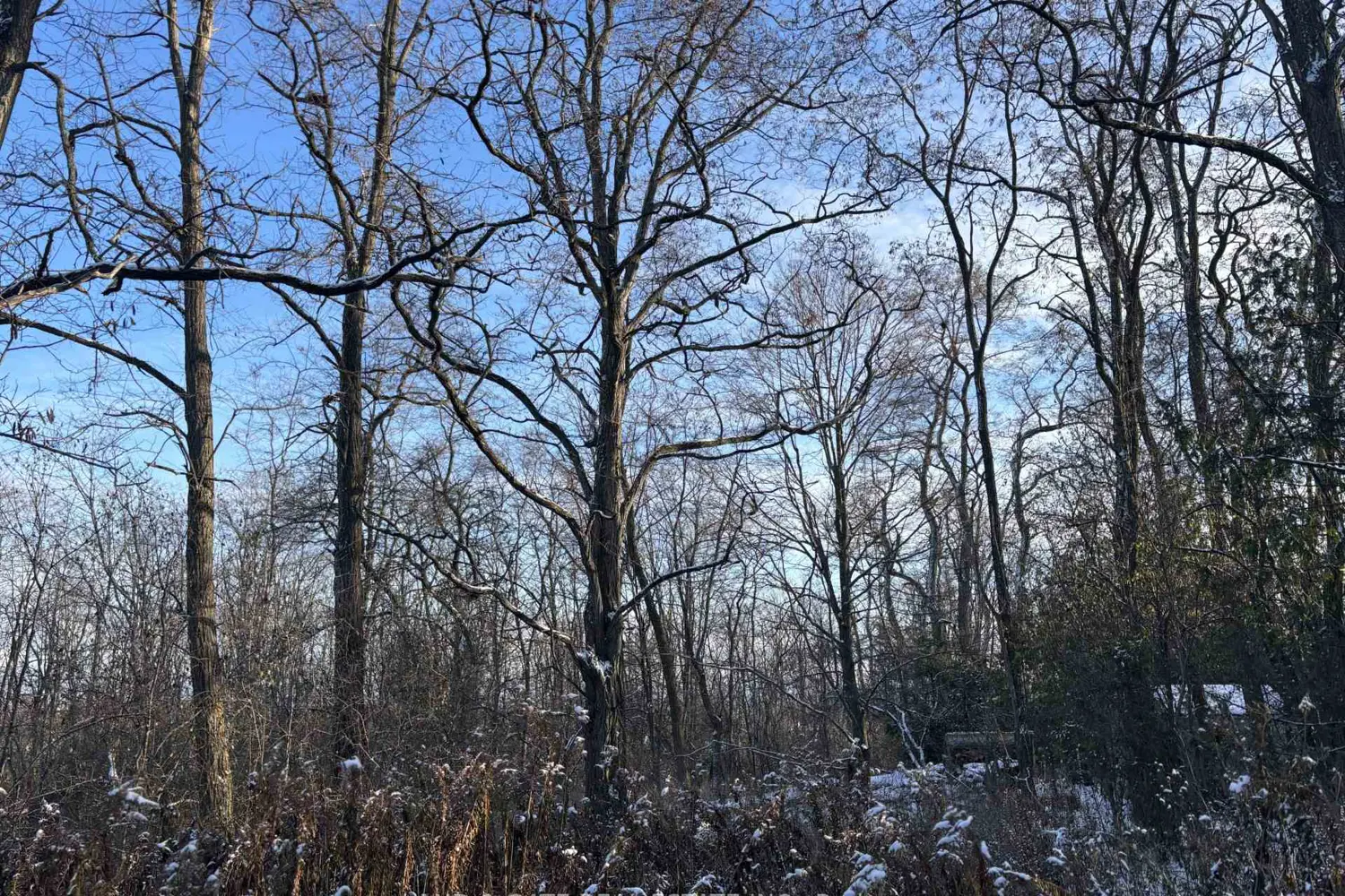 Additional image 2 of 00 Kelwood Lane