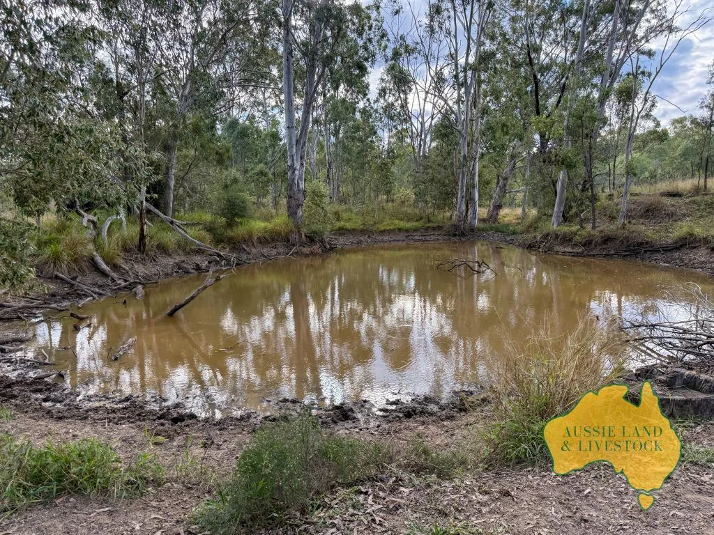 Additional image 47 of 8 SCREENING PLANT ROAD, Cynthia QLD 4627
