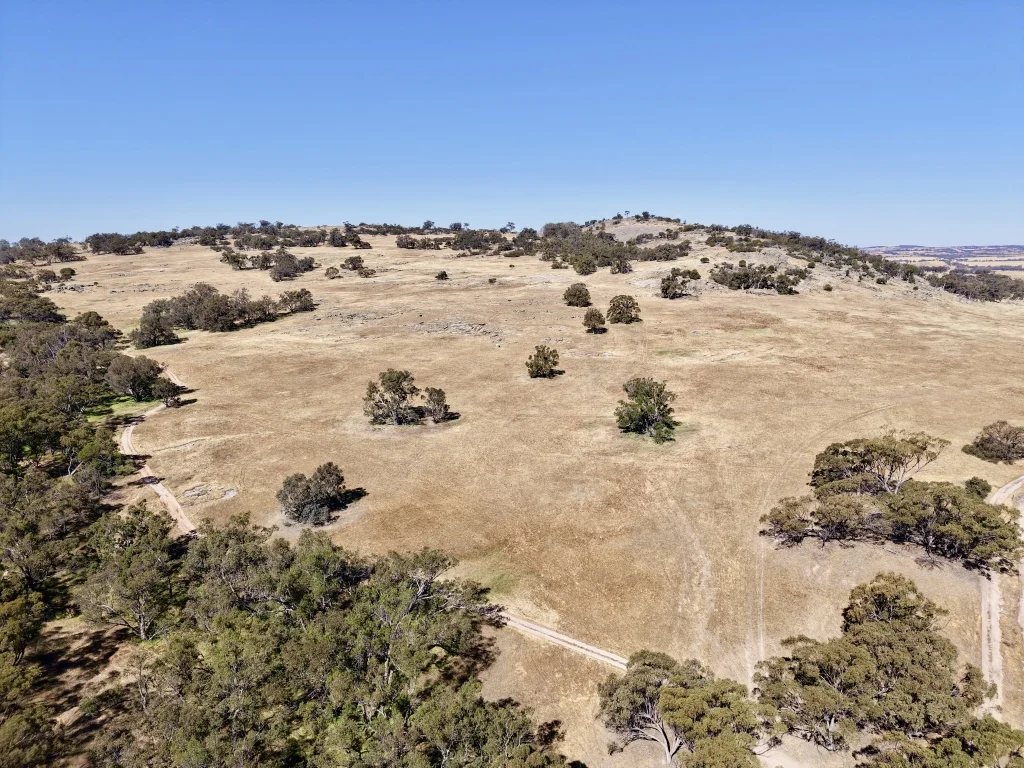 Additional image 4 of Lot 12 Young Road, Gwambygine WA 6302